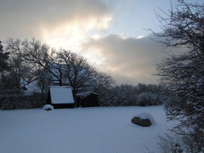 2010 Dezember19 045 (600 x 450).jpg
