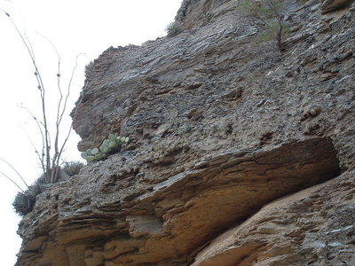 DSCF0328.JPG