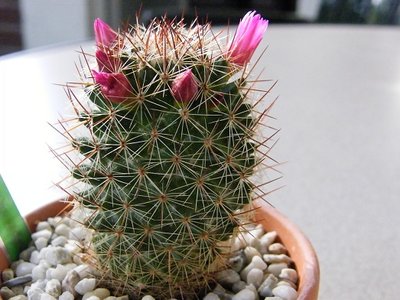 06.05.2011_11.jpg