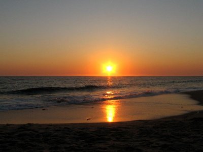 IMG_8527.jpg