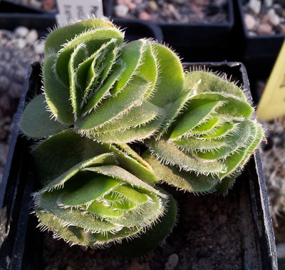 20111101_153517b.jpg