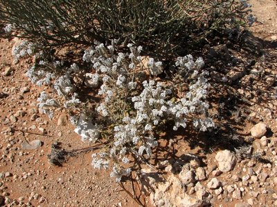 IMG_9264.jpg