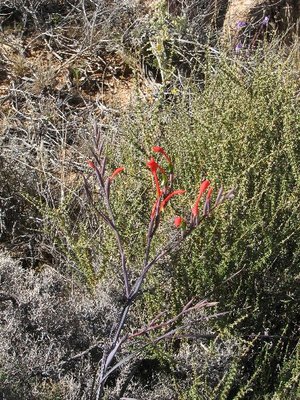 IMG_0034.jpg