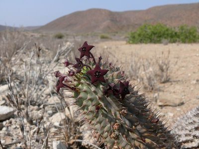 N Namibe 4.JPG